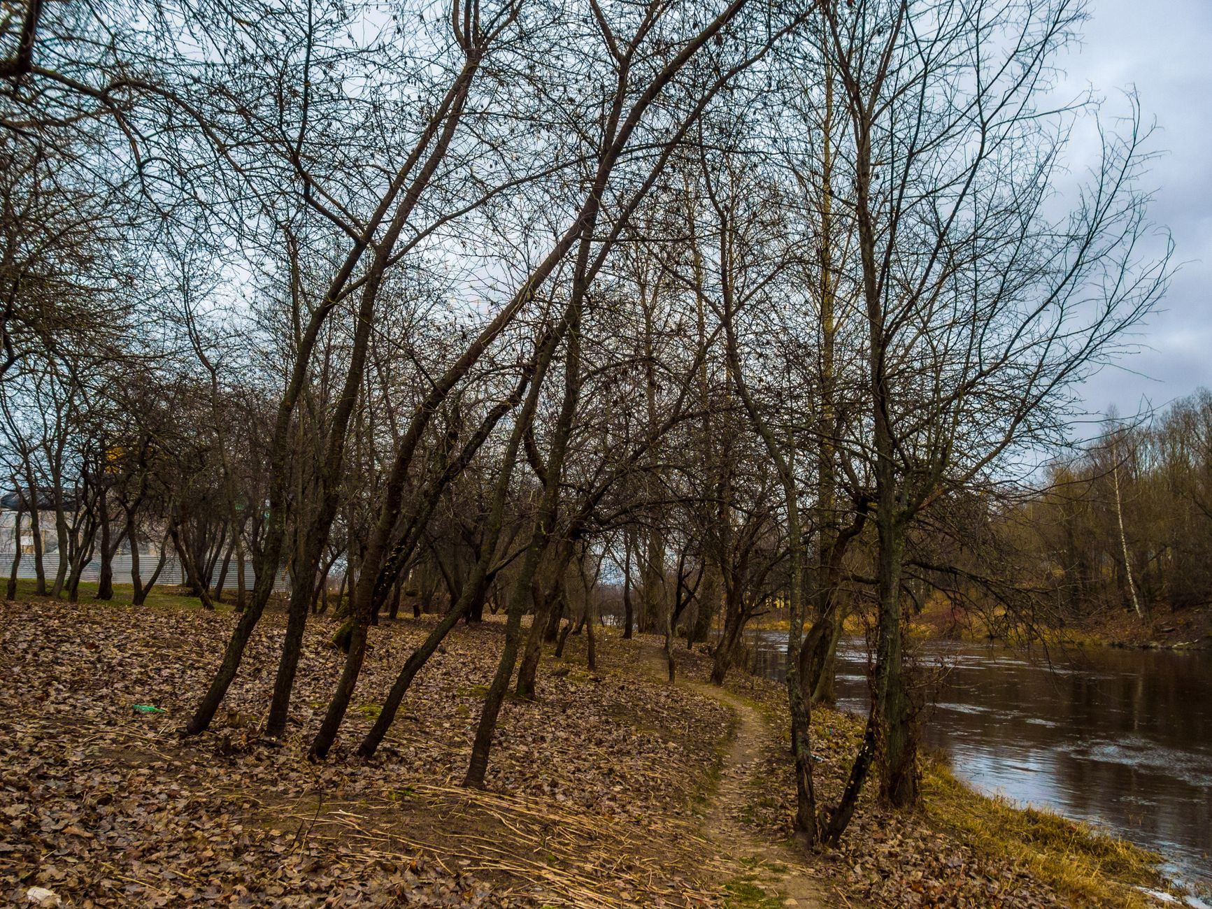 Chemin bordant une rivière entre les arbres