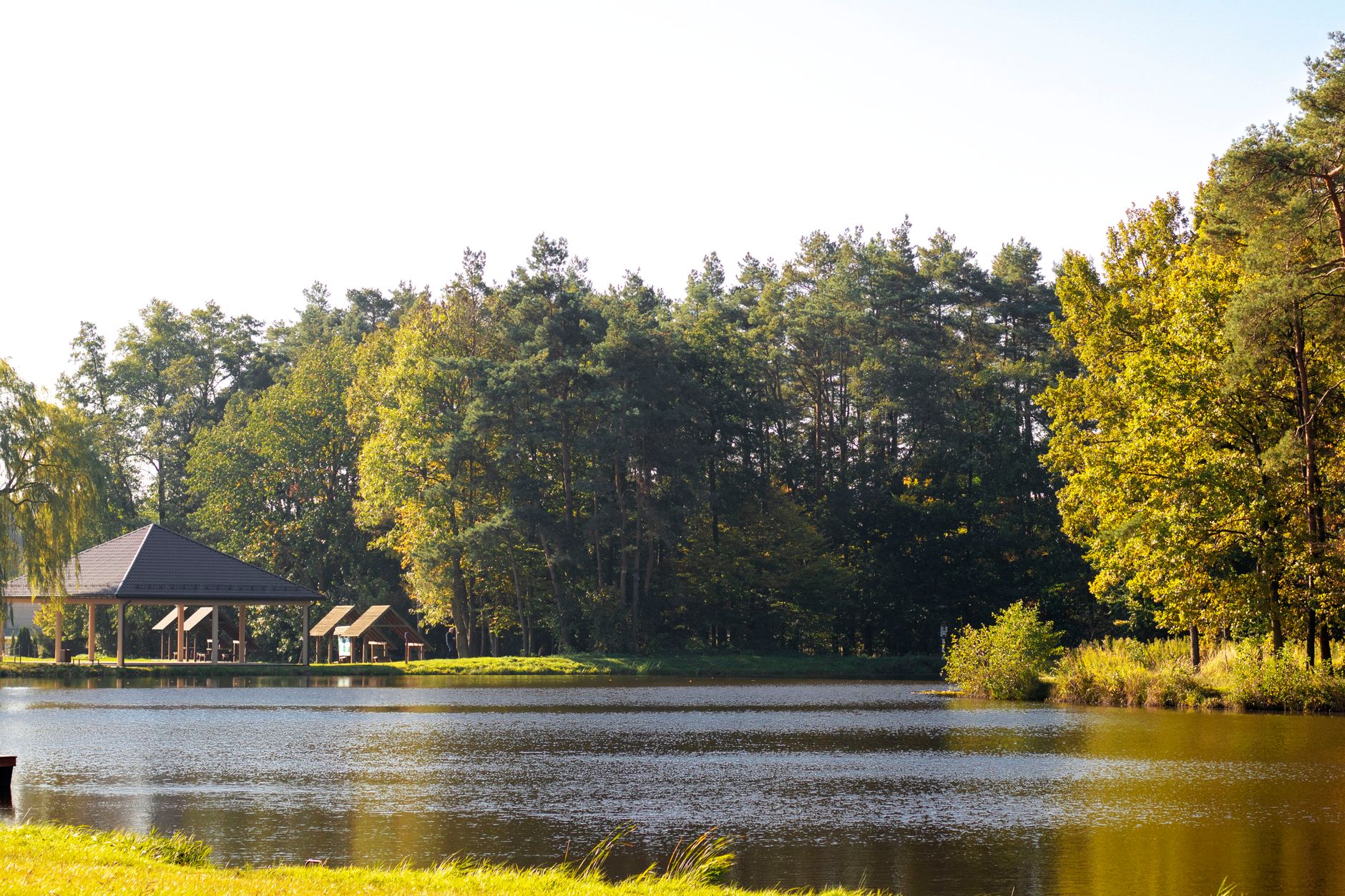 Chalet en bois au bord d'un lac entouré de forêt